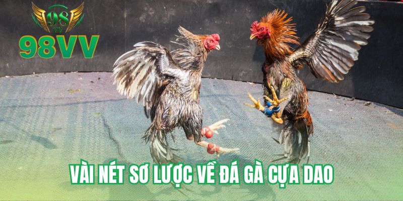 Vài nét sơ lược về đá gà cựa dao